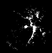 Image of SART dots as they appear on a radar screen.